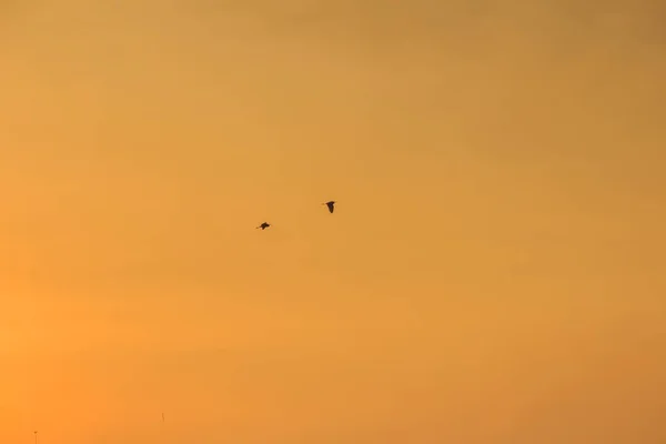 建物の背景にオレンジ色の夕焼け空 日没時に黄色い空背景 — ストック写真