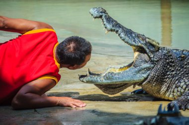 Samut Prakarn, Tayland - 25 Şubat 2017: Çocuk ve ekibi tehlikeli timsah gösterir. Riskli Timsah Timsah Çiftliği, dünyadaki en etkileyici genel timsah gösterir gösterir.