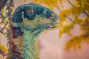 Şirin model iguandonunun dinozor genel Müzesi'nde. İguandonunun bir ornithopod orta Jurassic hızlı iki ayaklı hypsilophodontids ve ördek gagalı arasında bu yarım dinozordur.