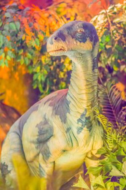 Şirin model iguandonunun dinozor genel Müzesi'nde. İguandonunun bir ornithopod orta Jurassic hızlı iki ayaklı hypsilophodontids ve ördek gagalı arasında bu yarım dinozordur.