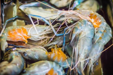 Izgara karides ve kömür üzerinde yeşil midye gece partide soba. Deniz ürünleri Barbekü partisi karides ve yeşil ile midye ateşe ızgara. Deniz ürünleri Barbekü kavramı, seçici odak.