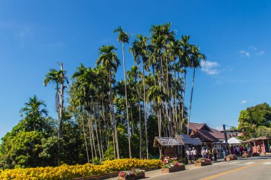 Chiang Rai, Tayland - 18 Kasım 2017: Turist Doi Tung kraliyet bahçe ziyaret, Doi Tung üzerinde yer alan Prenses Anne Srinagarindra, eski Köşkü hills, Chinang Rai, Tayland.