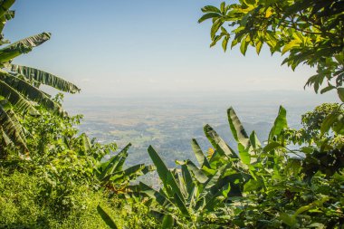 Chiang Rai Eyaleti, Tayland Doi Tung tepelerde güzel bakış açısı.