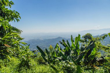 Chiang Rai Eyaleti, Tayland Doi Tung tepelerde güzel bakış açısı.