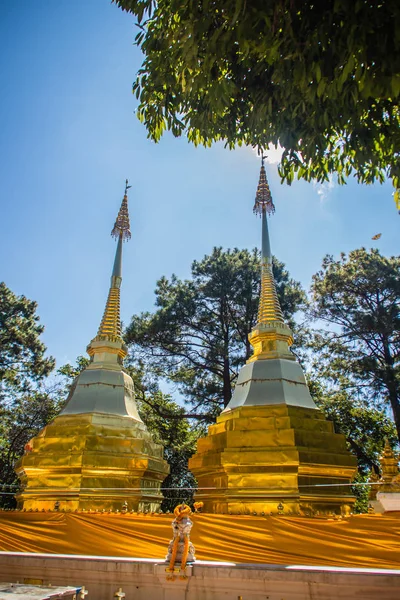 Belle Pagode Oro Wat Phra Doi Tung Chiang Rai Wat — Foto Stock