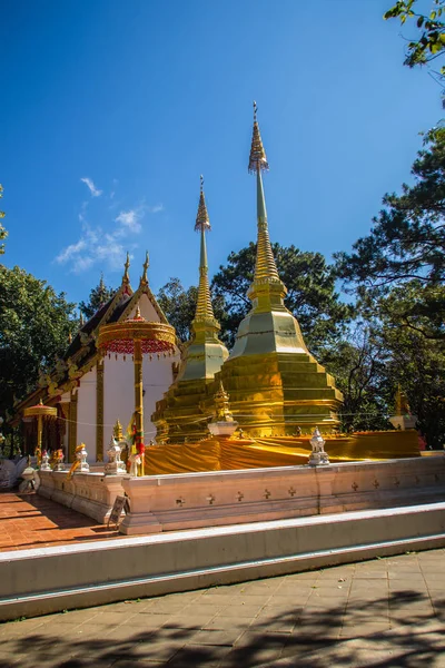 Mooie Gouden Pagodes Wat Phra Dat Doi Tung Chiang Rai — Stockfoto