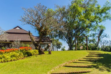 Güzel yeşil manzara ve mimari görüş-in Doi Tung Kraliyet Villası, Chinang Rai, Tayland Doi Tung tepelerinde yer alan Prenses Anne Srinagarindra, eski Köşkü.