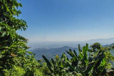 Chiang Rai Eyaleti, Tayland Doi Tung tepelerde güzel bakış açısı.