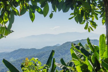 Chiang Rai Eyaleti, Tayland Doi Tung tepelerde güzel bakış açısı.