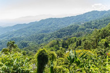 Chiang Rai Eyaleti, Tayland Doi Tung tepelerde güzel bakış açısı.