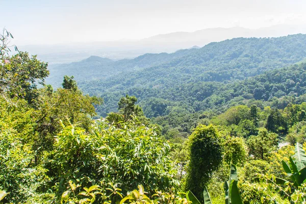 Chiang Rai Eyaleti, Tayland Doi Tung tepelerde güzel bakış açısı.