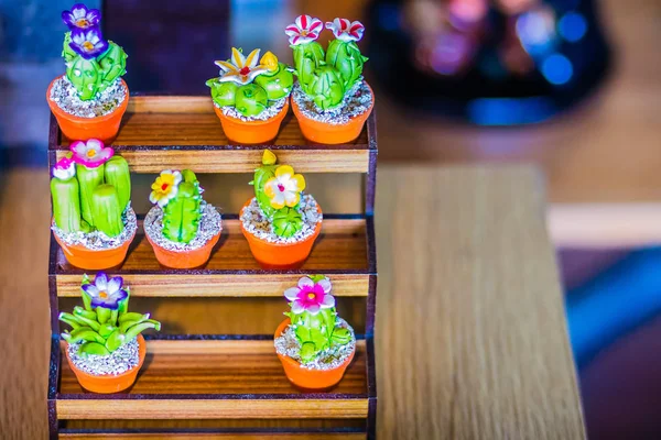 Colorato Cactus Ceramica Carino Vaso Vendita Mercato Degli Alberi — Foto Stock