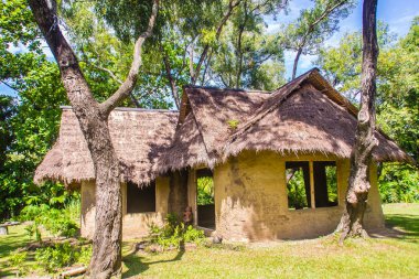 Toprak evin ağaçlarının altında. Bir dünya ev olarak da bilinen dünya berm, dünya korunaklı ev ya da eko-ev bir mimari tarzı ile yardımcı olmak için bir ev duvarları doğal arazi kullanın..