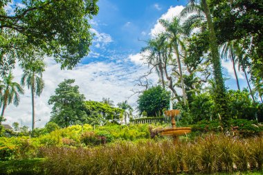 Mavi gökyüzü bulutlu günde ile yeşil yaz genel park bahçe. Yeşil çim alan ve taze ağaç Parkı içinde güzel gün ışığı. Mavi gökyüzü beyaz bulutlar ve Şehir Parkı alanında yeşil çimen