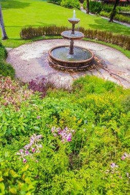 Yeşil yaz genel park bahçe çeşmesi ile. Güzel gün ışığı yeşil çim alanı ve şehir parkı çeşme ile kamu park
