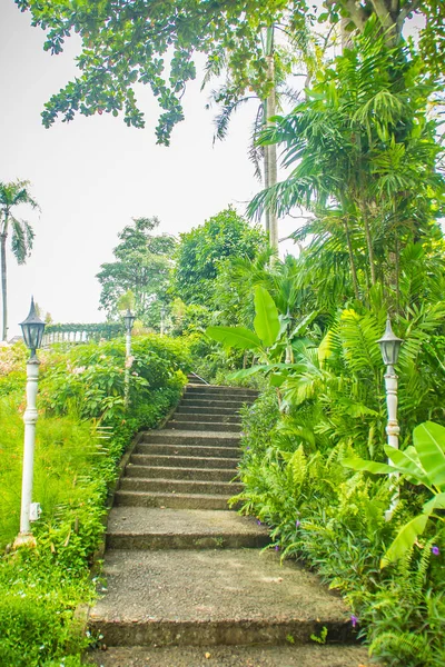 Verde Jardín Del Parque Público Verano Con Escaleras Paso Cielo —  Fotos de Stock