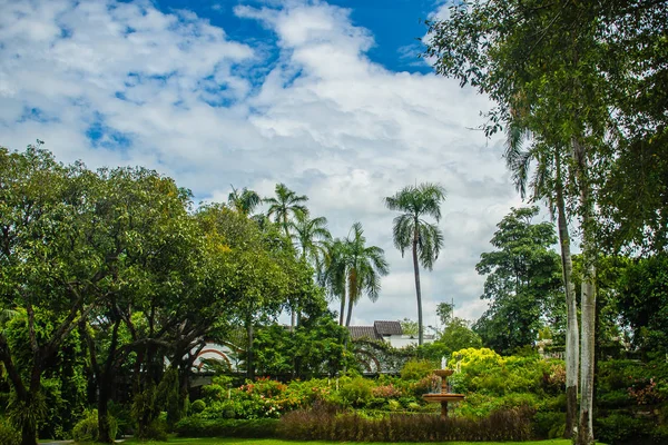 Publiczny Park Zielony Letni Ogród Niebieski Niebo Pochmurny Dzień Piękny — Zdjęcie stockowe