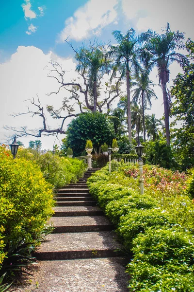 階段ステップには曇りの日に青い空と緑の夏公園庭園 階段と新鮮な木公園に美しい日の光 — ストック写真