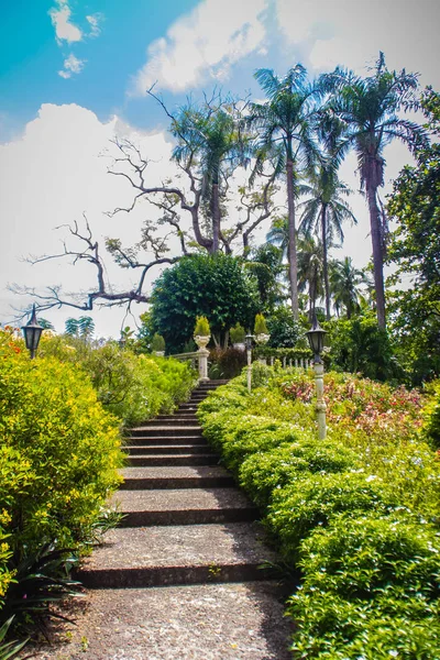 Verde Jardín Del Parque Público Verano Con Escaleras Paso Cielo —  Fotos de Stock