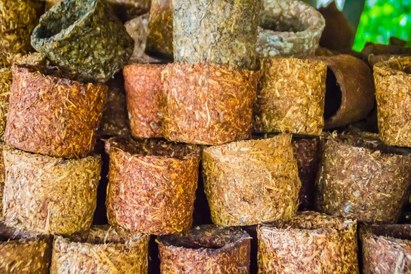 Biodegradable pots made from peat moss that combined with shredded and firmly compressed wood fibers. Peat flower pots made from coconut fiber and dried leaves for reduces trauma to the plant roots.