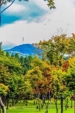 Perspektif manzara Nami Isalnd Kore