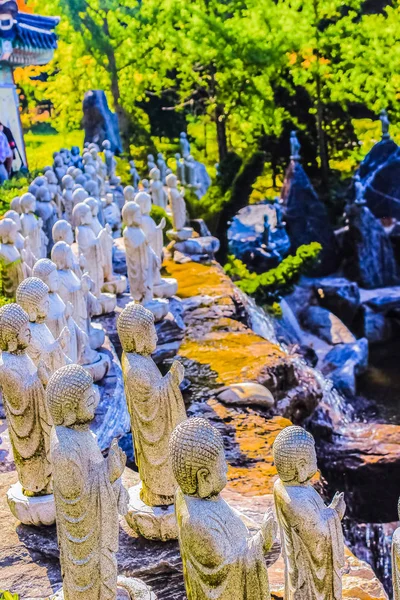 Imágenes Buda Templo Waujeongsa Corea —  Fotos de Stock