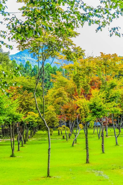 Green Park Isla Nami Corea —  Fotos de Stock