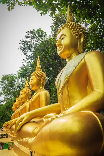 Bela Estátua Dourada Calma Imagem Buddha Floresta Templo Budista Público — Fotografia de Stock