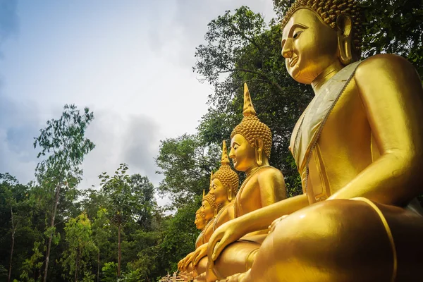 在公共佛教寺庙的森林中美丽平静的金色佛像 — 图库照片
