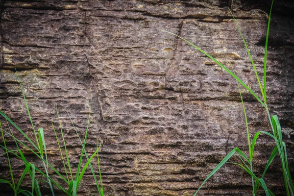 Abstract Patterns Sedimentary Rocks Formed Deposition Subsequent Cementation Material Earth — стоковое фото