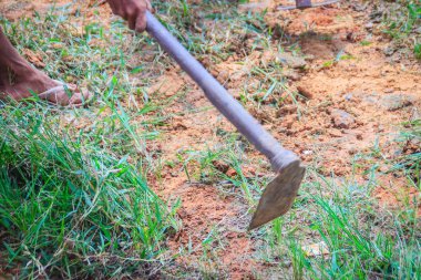 Çiftçi biçmek için çapa kullanarak çim alan. Kürekle alan çim biçme. Yeşil budama otlar ile çapa.