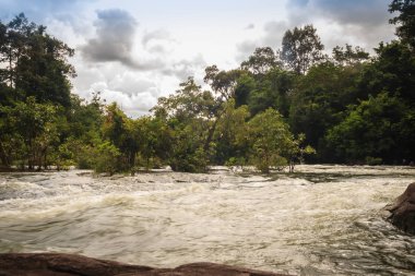 Krachan Lamduan rapids, ünlü turistik geçit karides peyzaj akıntıya karşı Eylül her yıl yumurtlamaya göç ettiler. Bulunan Nam Yuen bölgesi, Ubon Ratchathani, Thailand.