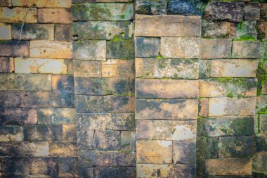 Eski harabe tuğla duvar yeşil yosun ve küçük çim kaplı. Tuğla duvar eski khmer kutsal yeşil yosun ile büyümüş.