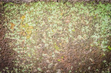 Laterite taş duvar yüzeyi arka plan için dokulu çim ve yosun büyüme şekillendirme güzel. Eski laterite tuğla doku yeşil çim ve taze moss ile.
