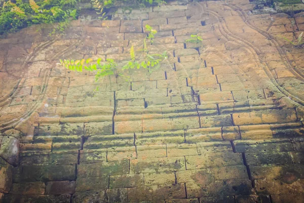 Lateriet Stenen Muur Met Gras Mos Groei Vormen Prachtige Textuur — Stockfoto