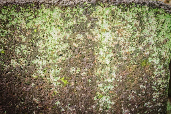 Parede Pedra Laterite Com Crescimento Grama Musgo Formando Belas Texturizadas — Fotografia de Stock