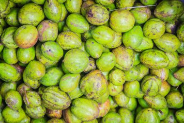 Yeşil Chebulic Myrobalans meyve (Terminalia chebula) yerel pazarda Satılık. Terminalia chebula bitkisel meyve ve Güney Doğu Asya boyunca bulundu.