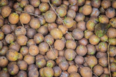 Seylan meşe meyve ya da yerel pazarda Satılık Kusum meyve (Schleichera oleosa). Tayland Bu meyve Schleichera oleosa takhro ya da kho olarak bilinen.