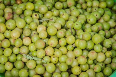 Ayrıca emblic, emblic özgü, bilinen Hint bektaşi üzümü (Phyllanthus emblica), Myrobalan'dan, Hint bektaşi üzümü, Malacca ağaç veya amla meyve. Emblic meyve meyve pazarında, Tayland Satılık.