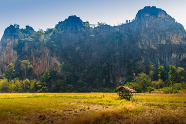Manzaralı kalker Dağları aralığı ve mavi gökyüzü arka plan ile Ban Mung Köyü, Noen Maprang bölgesi, Phitsanulok Eyaleti, Tayland, hasat sonra pirinç alan çiftçi Hut.