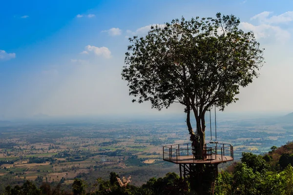 Arbre Amour Forme Coeur Avec Vallée Verte Ciel Bleu Fond — Photo