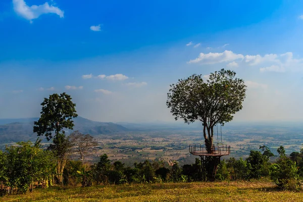 Árvore Amor Forma Coração Com Vale Verde Céu Azul Fundo — Fotografia de Stock