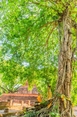 Lanka tarzı pagoda Muang Kao Historical Park, antik şehir Phichit, Tayland Wat Mahathat Tapınağı kalıntıları. Ortak tarihi ve ücretsiz giriş Event: bu turistik 's.