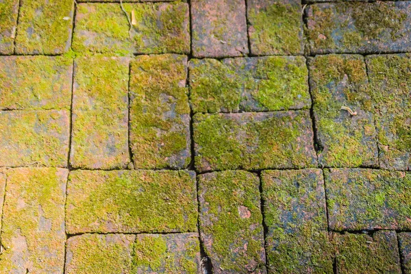 Oude Stenen Vloer Met Groene Mos Begroeid Bakstenen Muur Met — Stockfoto