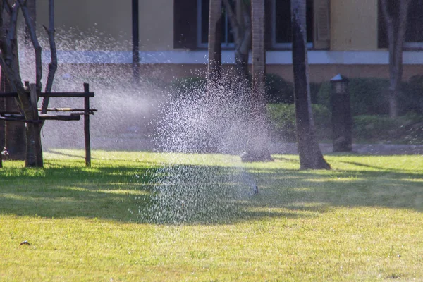 Ogrodu Automatycznego Zraszania Trawnika Słoneczny Letni Dzień Podczas Podlewania Pole — Zdjęcie stockowe