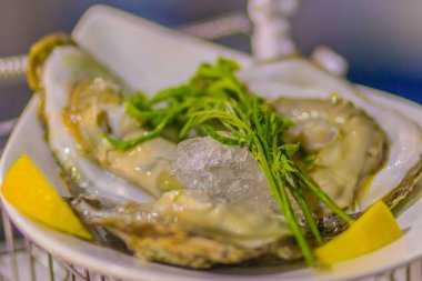 İstiridye ve ekstra büyük boy buz genç kurşun ağaç yaprakları ve limon tarafında parçası ile servis.