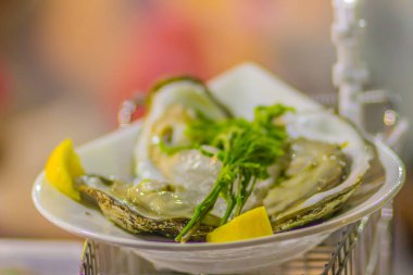 İstiridye ve ekstra büyük boy buz genç kurşun ağaç yaprakları ve limon tarafında parçası ile servis.