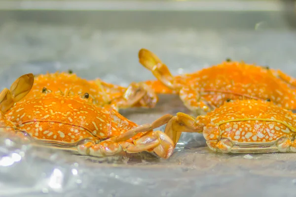 Steamed crab for sale at the seafood restaurant. Boiled crab for sale that wrapped with plastic and ready to bring back home.