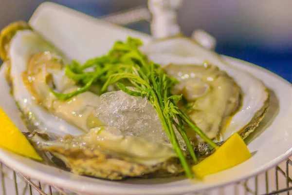 Extra Large Size Oysters Served Ice Young Lead Tree Leaves — Stock Photo, Image