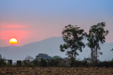 Günbatımı Khao Yai Milli Parkı, Nakhon Ratchsima, Tayland hasat sonra Mısır alan vadisinde. Dawn'la birlikte sabah gündoğumu sırasında sakin vadi.